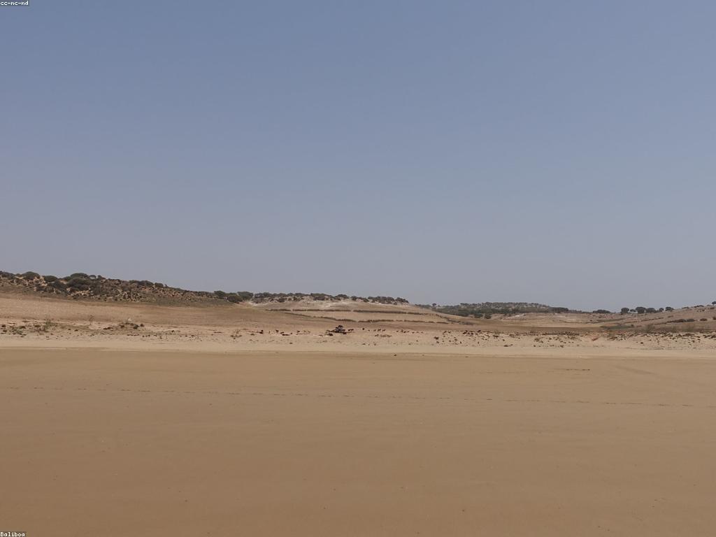 កន្លែងលេងប្រកួត៖ រូបមន្តសម្រាប់ការលេងក្រៅ