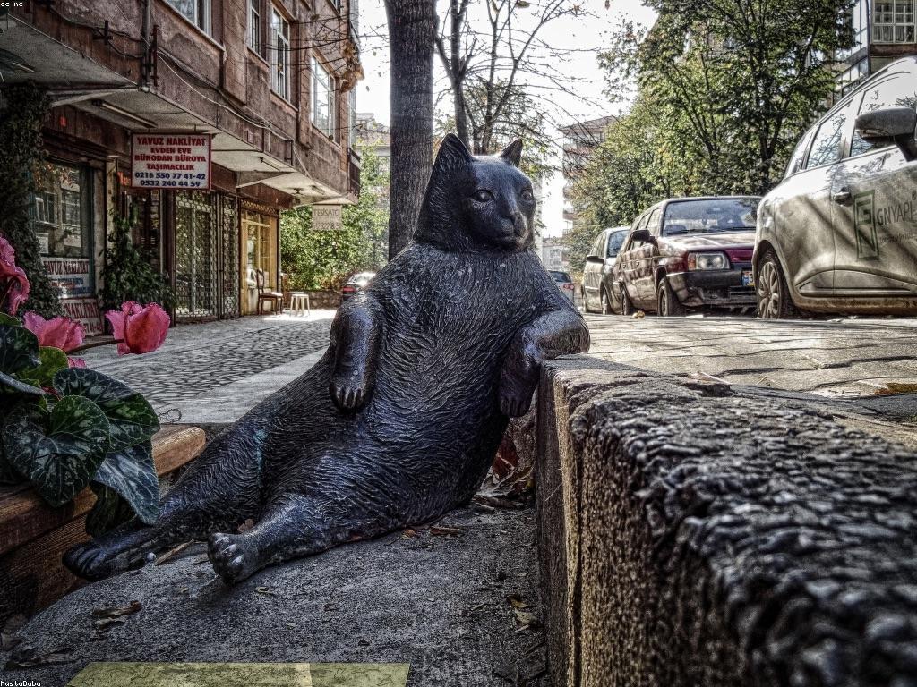 ដំណឹងលេងបាការ៉ាត៖ ការវិវត្តន៍ និងការប្រកួតប្រជែងក្នុងពិភពលំហូរប្រាក់