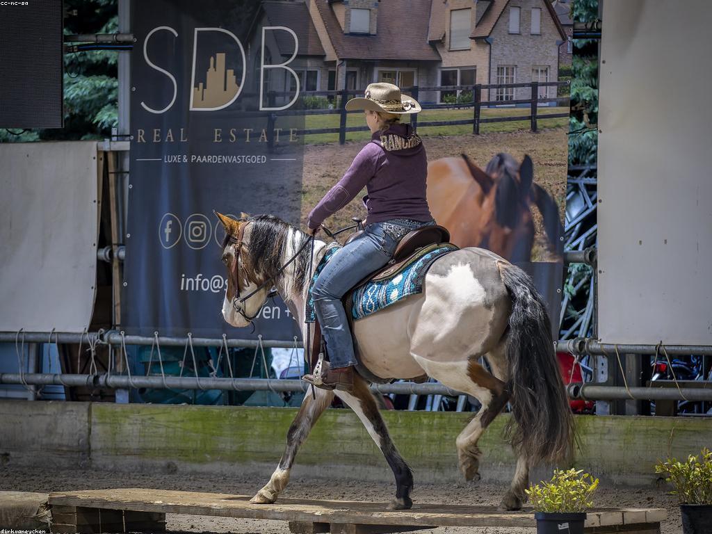 កន្លែងលេងប្រកួត: ការប្រកួតស្ម័គ្រចិត្តក្នុងវិស័យកម្សាន្ត