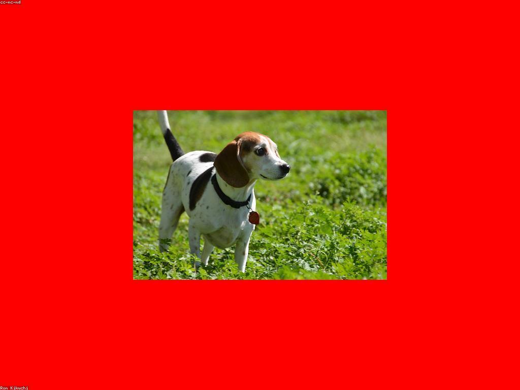 កន្លែងលេងប្រកួត: ការបង្កើតអត្រាការលេងថ្មីសម្រាប់កូនៗ