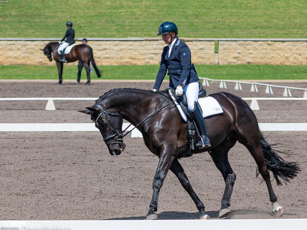 កន្លែងលេងប្រកួត: យុទ្ធសាស្ត្រសម្រាប់ការបង្កើតបទពិសោធន៍ល្អឥតខ្ចោះ